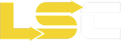 LSConsulting Expert
